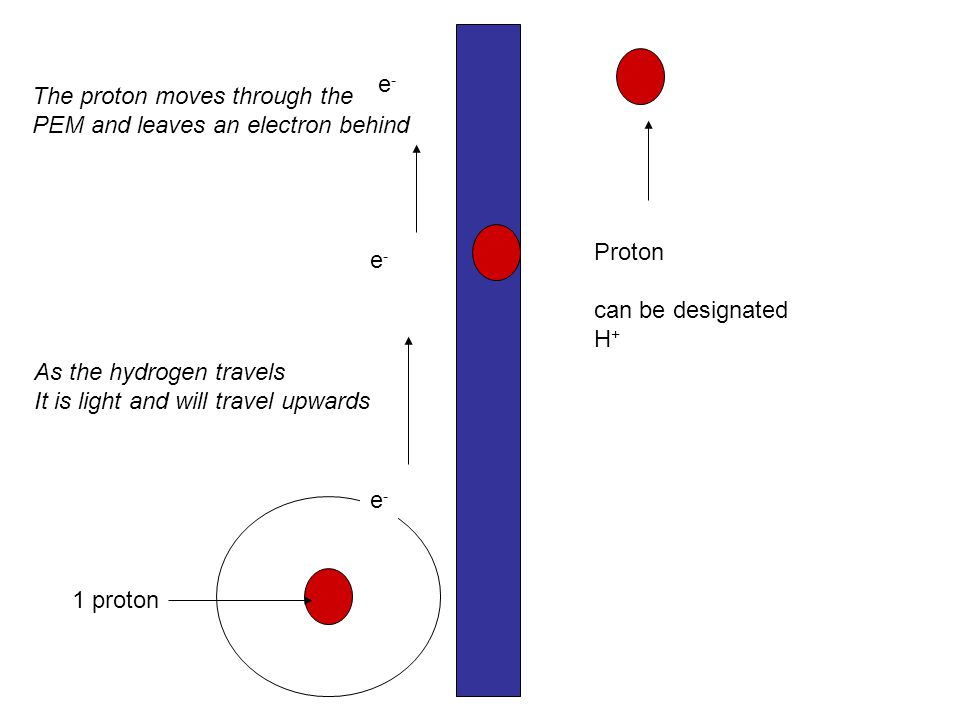e-e- As the hydrogen travels It is light and will travel upwards e-e- e-e- The proton moves through the PEM and leaves an electron behind Proton can be designated H +