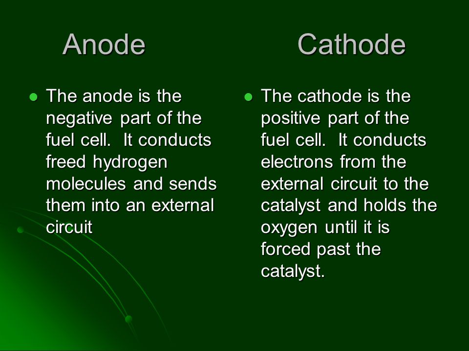 Hydrogen Fuel Cell Structure The Hydrogen Fuel cells are made up of four parts- the Anode, the Cathode, the Catalyst, and the Proton Exchange Membrane The Hydrogen Fuel cells are made up of four parts- the Anode, the Cathode, the Catalyst, and the Proton Exchange Membrane
