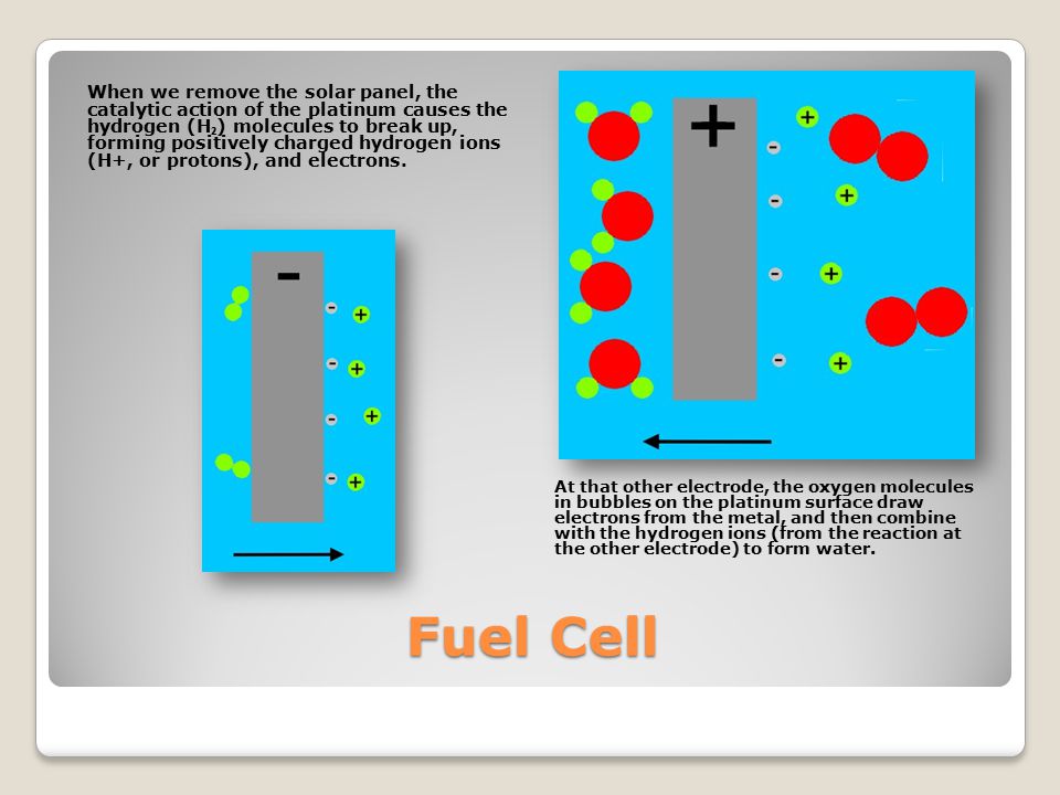 Fuel Cell When we remove the solar panel, the catalytic action of the platinum causes the hydrogen (H ₂ ) molecules to break up, forming positively charged hydrogen ions (H+, or protons), and electrons.