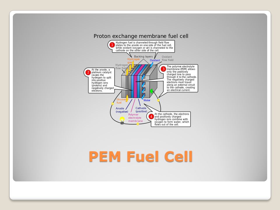 PEM Fuel Cell