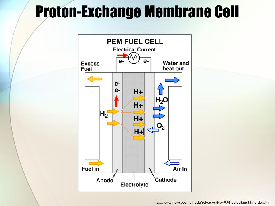 Proton-Exchange Membrane Cell