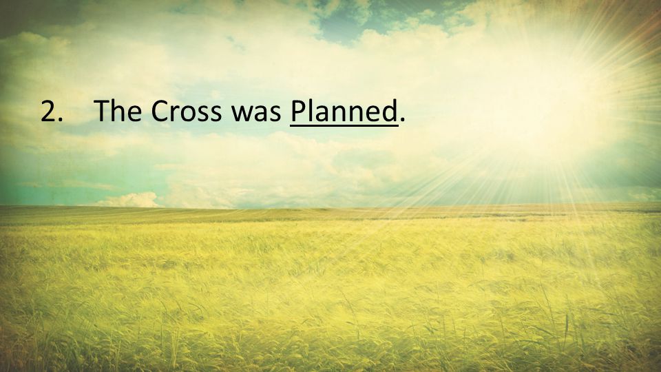 2.The Cross was Planned.