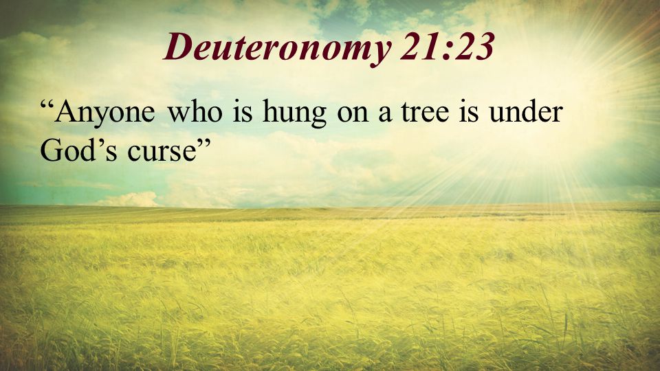 Deuteronomy 21:23 Anyone who is hung on a tree is under God’s curse