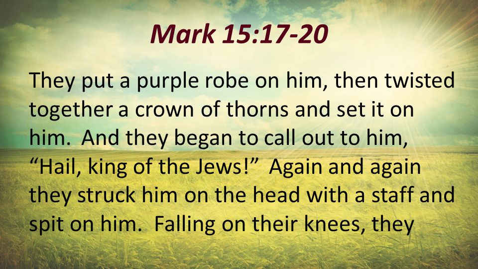 Mark 15:17-20 They put a purple robe on him, then twisted together a crown of thorns and set it on him.