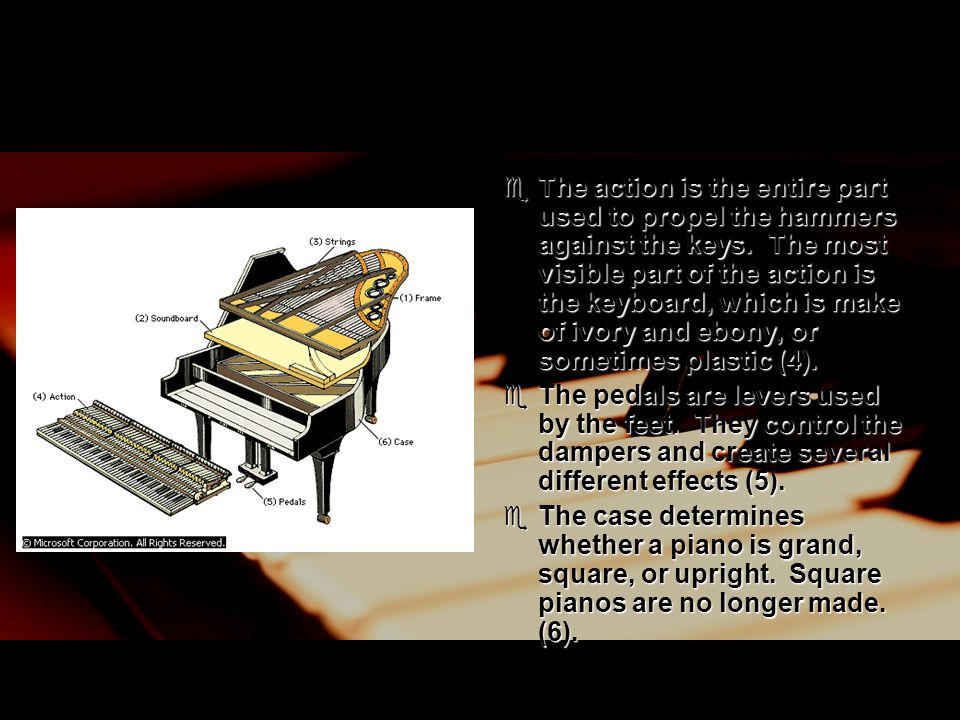  The action is the entire part used to propel the hammers against the keys.