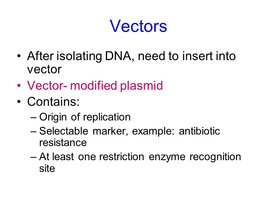 Vectors After isolating DNA, need to insert into vector Vector- modified plasmid Contains: –Origin of replication –Selectable marker, example: antibiotic resistance –At least one restriction enzyme recognition site