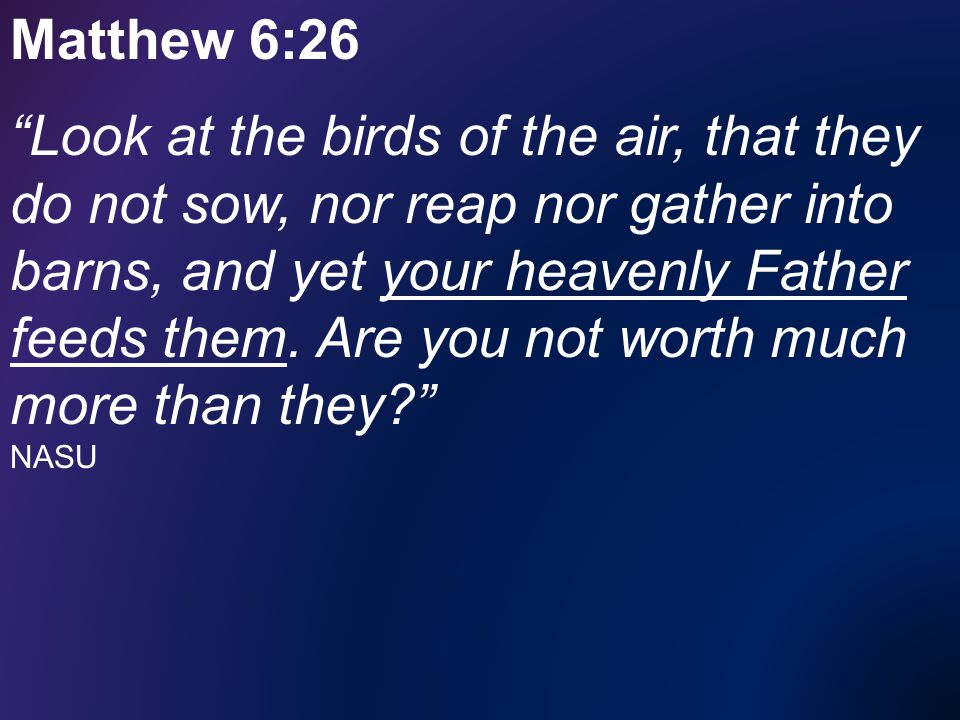 Matthew 6:26 Look at the birds of the air, that they do not sow, nor reap nor gather into barns, and yet your heavenly Father feeds them.