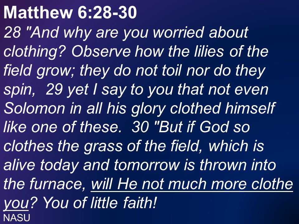 Matthew 6: And why are you worried about clothing.
