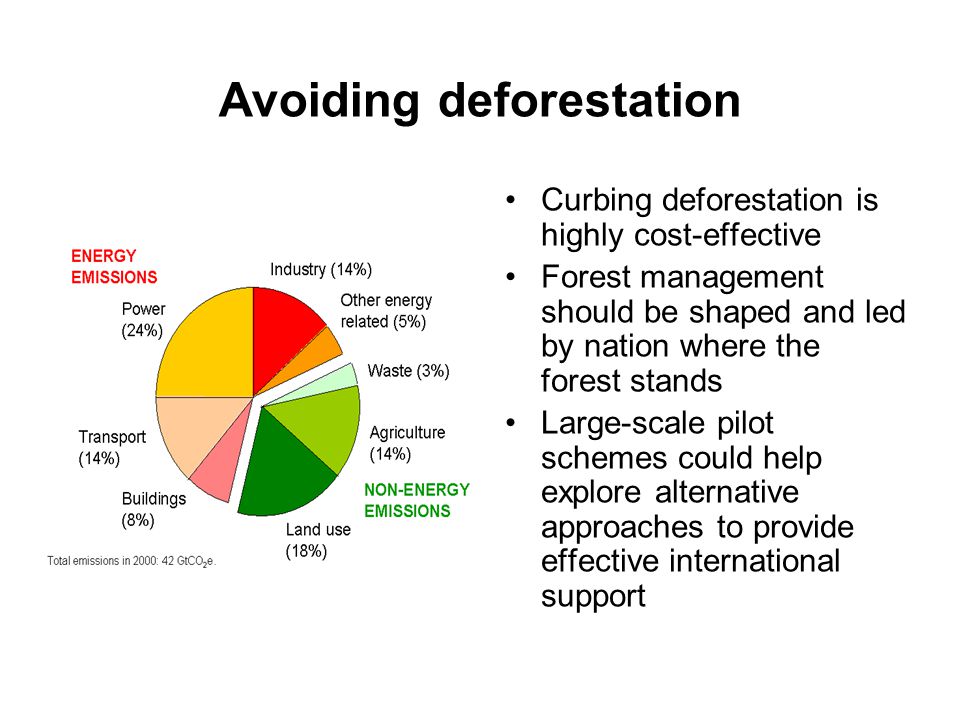 Avoiding deforestation Curbing deforestation is highly cost-effective Forest management should be shaped and led by nation where the forest stands Large-scale pilot schemes could help explore alternative approaches to provide effective international support