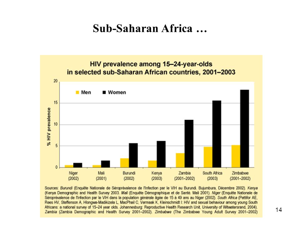 14 Sub-Saharan Africa …