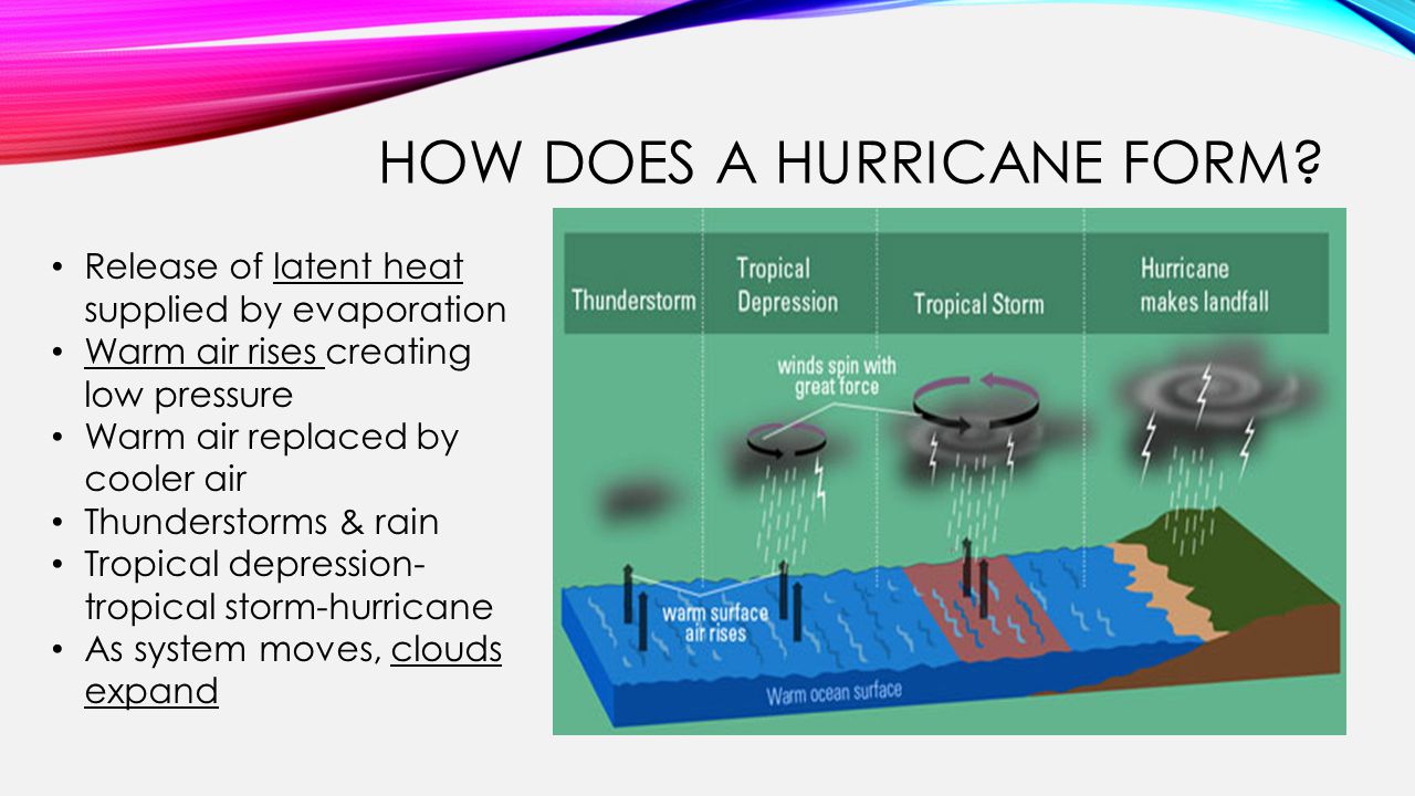 hurricane sandy 2012 sabrina merdita psychology college of arts and how does a hurricane form