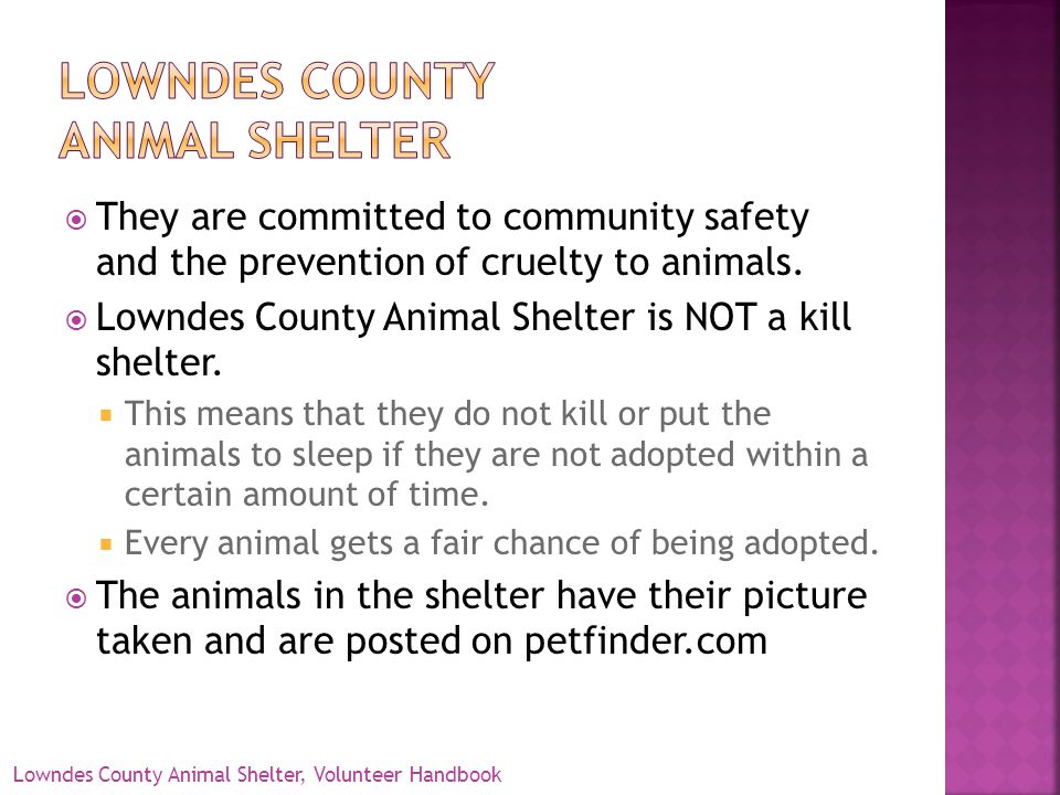 They are committed to community safety and the prevention of cruelty to animals.