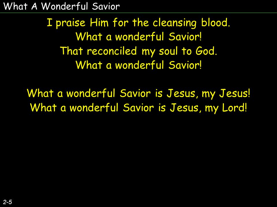 What A Wonderful Savior 2-5 I praise Him for the cleansing blood.