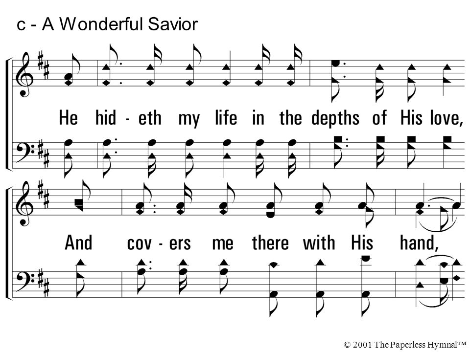 c - A Wonderful Savior © 2001 The Paperless Hymnal™