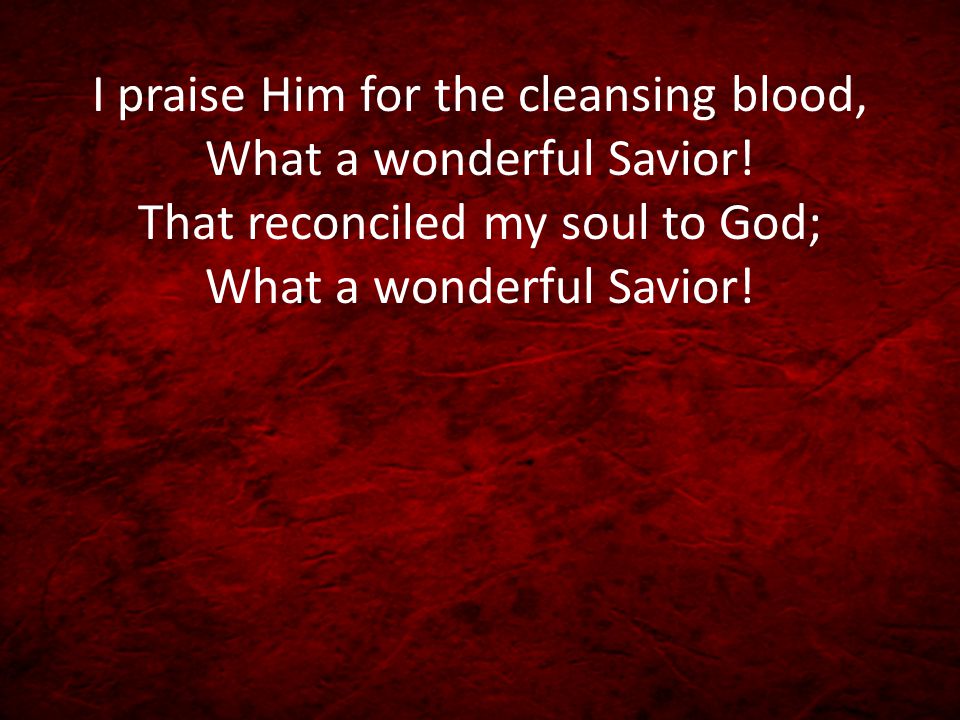 I praise Him for the cleansing blood, What a wonderful Savior.