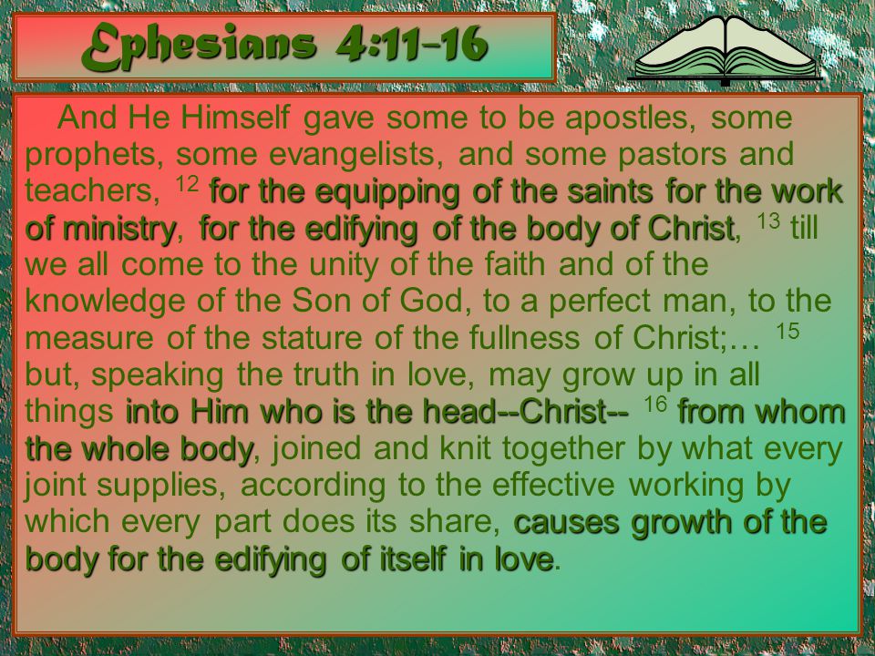 Ephesians 4:11-16 for the equipping of the saintsfor the work of ministryfor the edifying of the body of Christ into Him who is the head--Christ--from whom the whole body causes growth of the body for the edifying of itself in love And He Himself gave some to be apostles, some prophets, some evangelists, and some pastors and teachers, 12 for the equipping of the saints for the work of ministry, for the edifying of the body of Christ, 13 till we all come to the unity of the faith and of the knowledge of the Son of God, to a perfect man, to the measure of the stature of the fullness of Christ;… 15 but, speaking the truth in love, may grow up in all things into Him who is the head--Christ-- 16 from whom the whole body, joined and knit together by what every joint supplies, according to the effective working by which every part does its share, causes growth of the body for the edifying of itself in love.