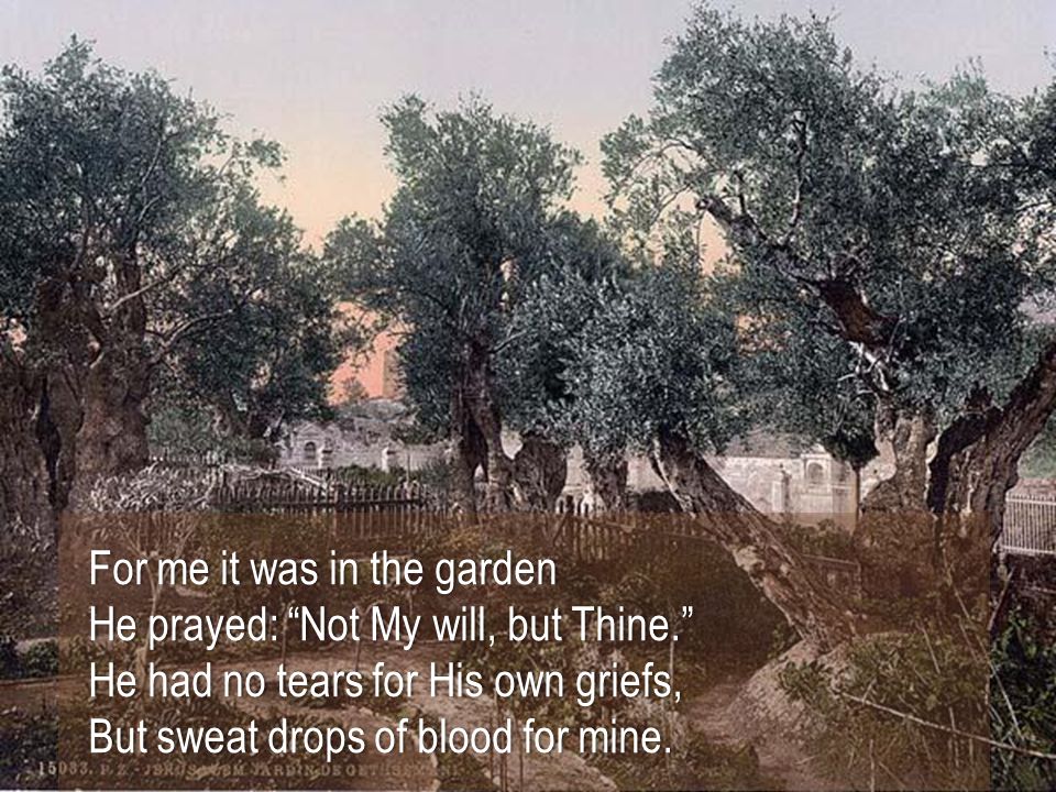 For me it was in the garden For me it was in the garden He prayed: Not My will, but Thine. He prayed: Not My will, but Thine. He had no tears for His own griefs, He had no tears for His own griefs, But sweat drops of blood for mine.