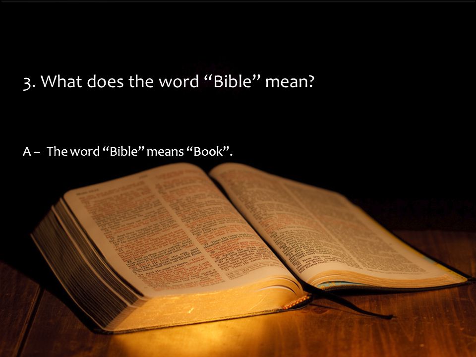 A –The word Bible means Book . 3. What does the word Bible mean