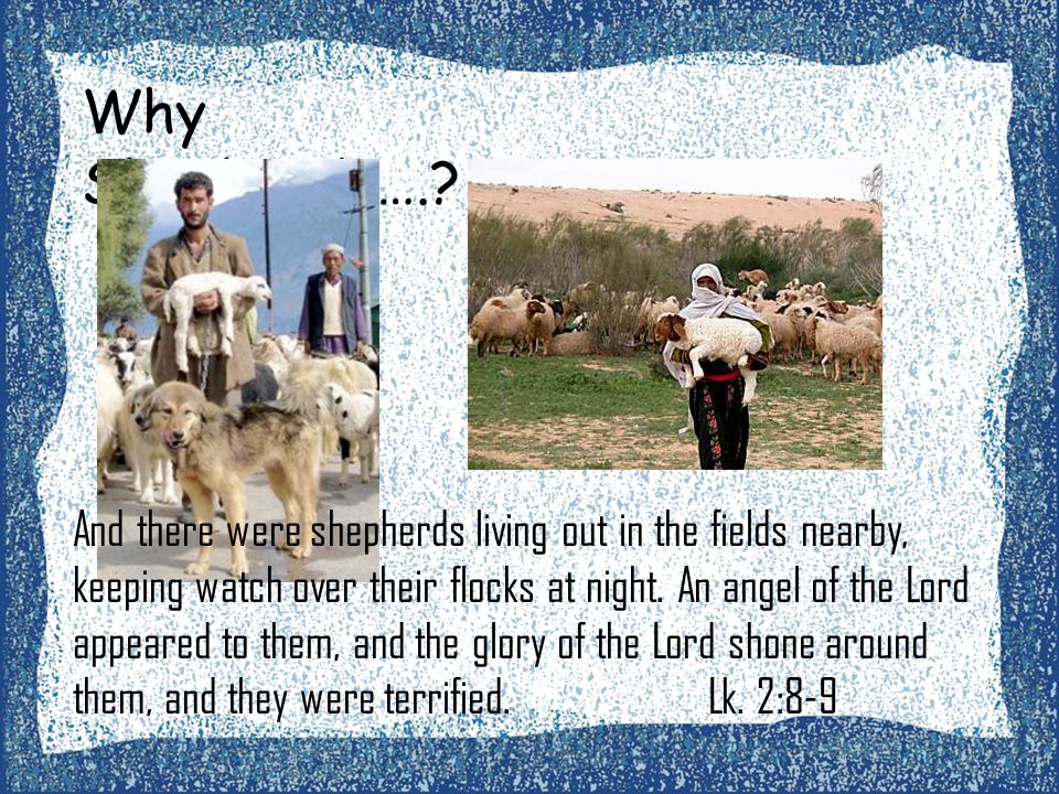 Why Shepherds…..