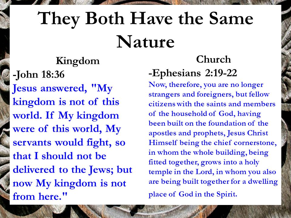 They Both Have the Same Nature Kingdom -John 18:36 Jesus answered, My kingdom is not of this world.