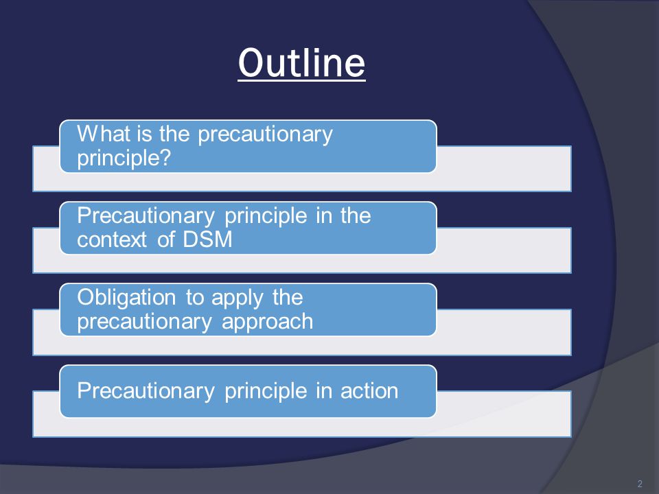 Outline What is the precautionary principle.
