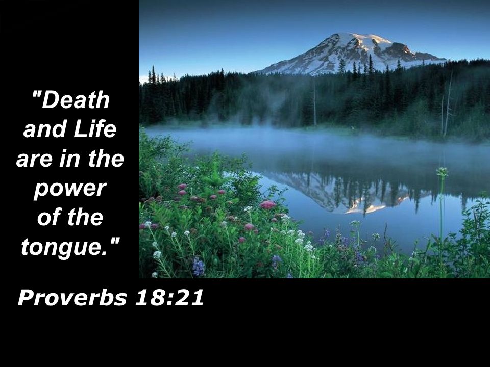 Death and Life are in the power of the tongue. Proverbs 18:21