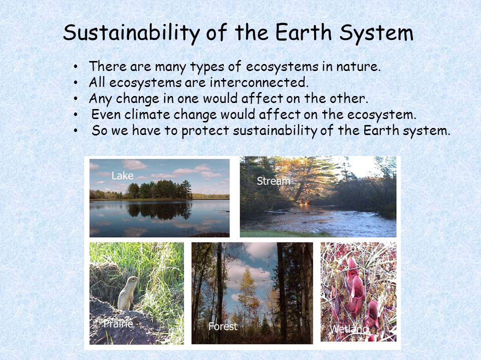 There are many types of ecosystems in nature. All ecosystems are interconnected.