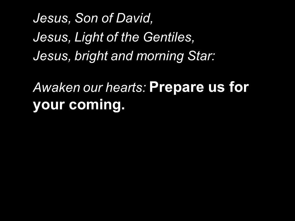 Jesus, Son of David, Jesus, Light of the Gentiles, Jesus, bright and morning Star: Awaken our hearts: Prepare us for your coming.