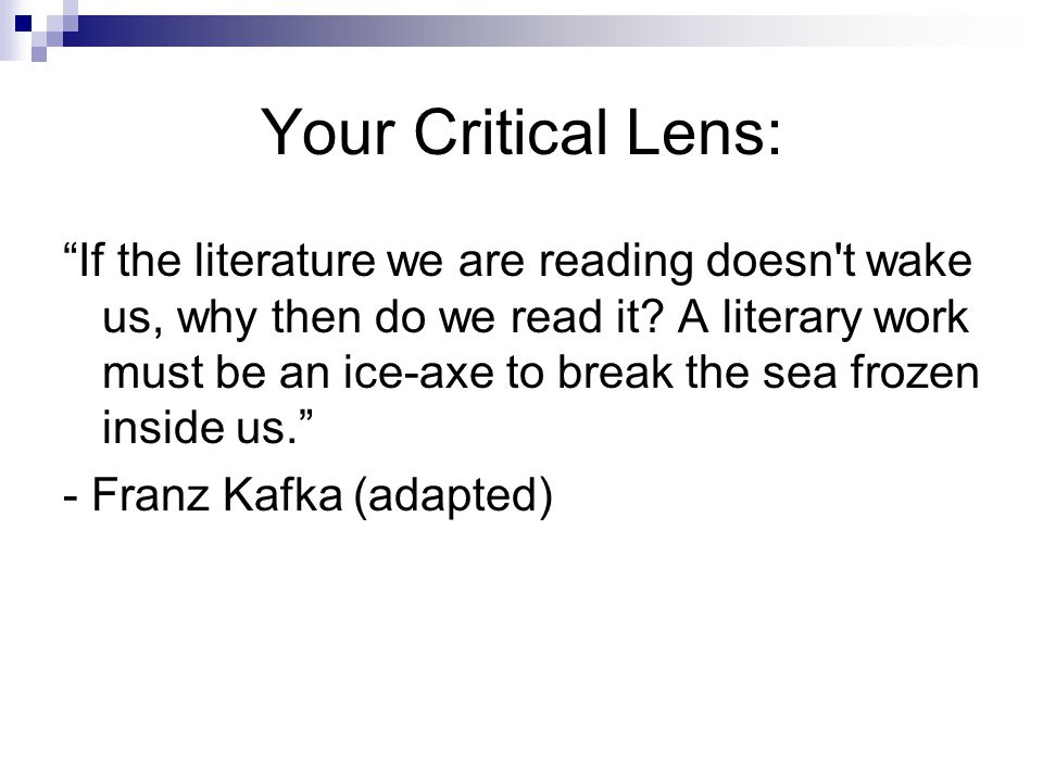critical lens essay critical lens