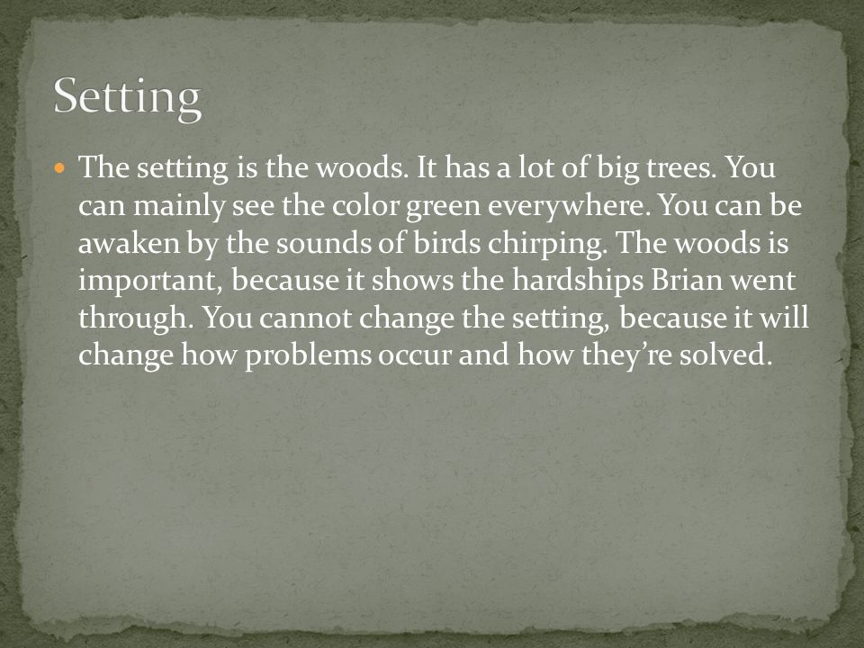 The setting is the woods. It has a lot of big trees.