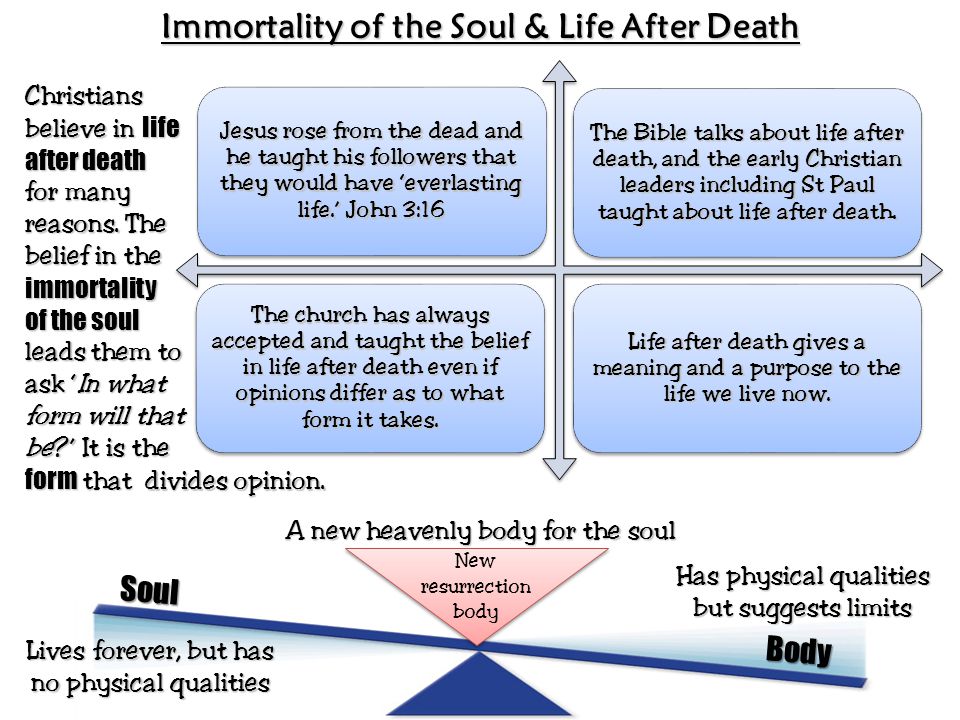 essay on life after death Life after death - islam and christianity sign up to view the whole essay and download the pdf for anytime access on your computer, tablet or smartphone. essay on life after death Life after death - islam and christianity sign up to view the whole essay and download the pdf for anytime access on your computer, tablet or smartphone.