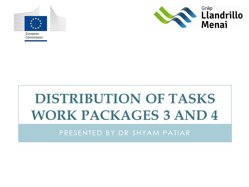 DISTRIBUTION OF TASKS WORK PACKAGES 3 AND 4 PRESENTED BY DR SHYAM PATIAR