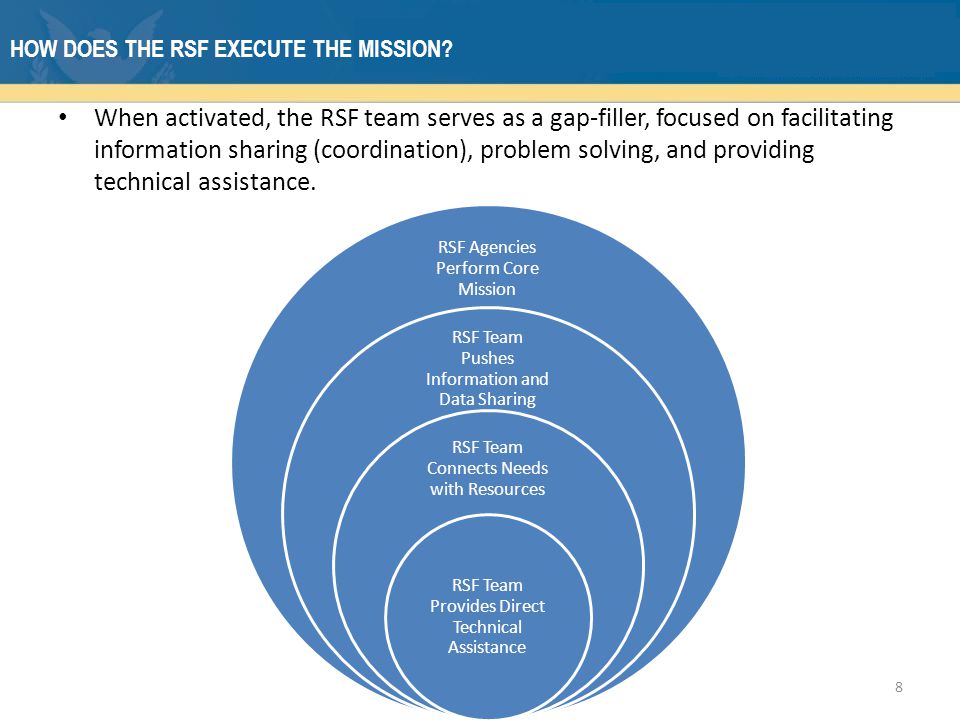 HOW DOES THE RSF EXECUTE THE MISSION.