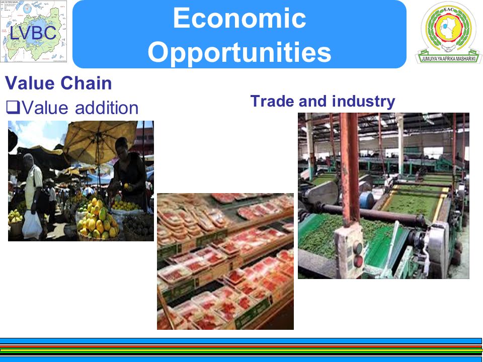 LVBC Economic Opportunities Value Chain  Value addition Trade and industry
