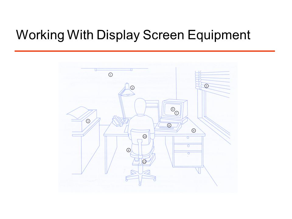 Working With Display Screen Equipment