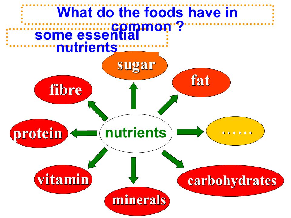 nutrients minerals fat protein vitamin …… carbohydrates some essential nutrients fibre What do the foods have in common .