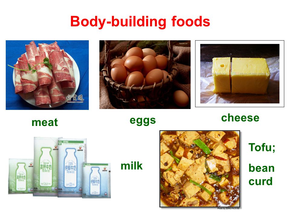 Body-building foods meat eggs cheese milk Tofu; bean curd