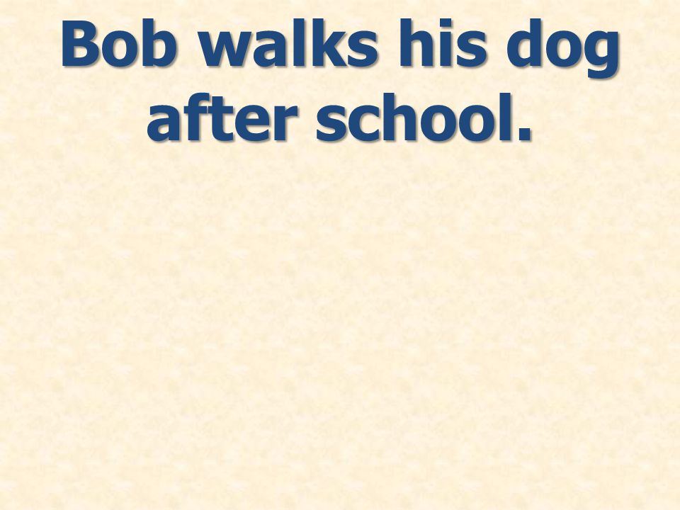 Bob walks his dog after school.