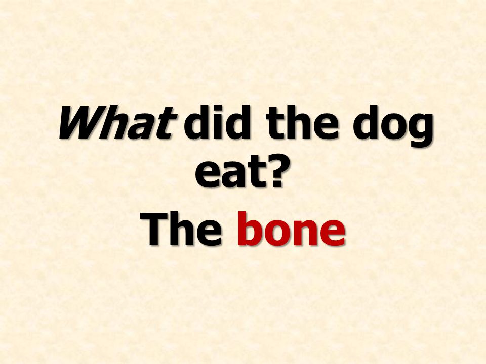 What did the dog eat The bone