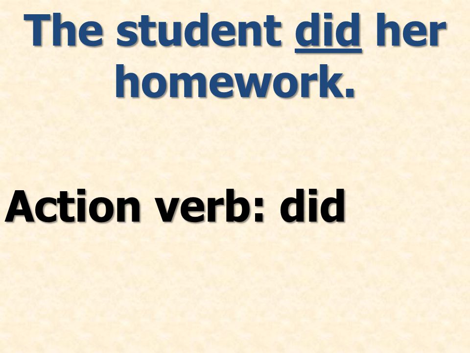 Action verb: did