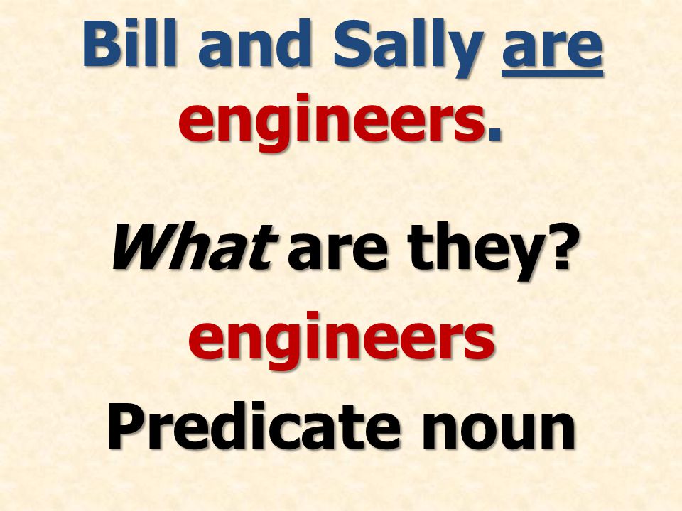 Bill and Sally are engineers. What are they engineers Predicate noun