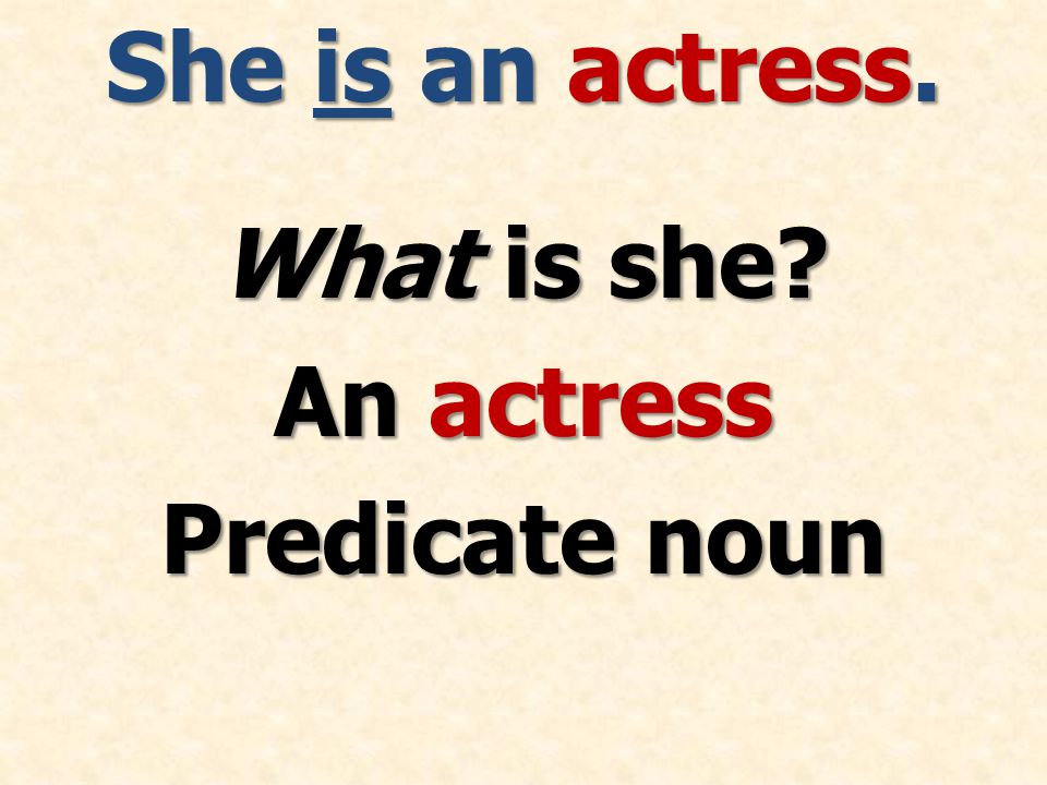 She is an actress. What is she An actress Predicate noun