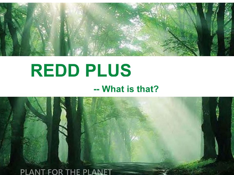 REDD PLUS -- What is that