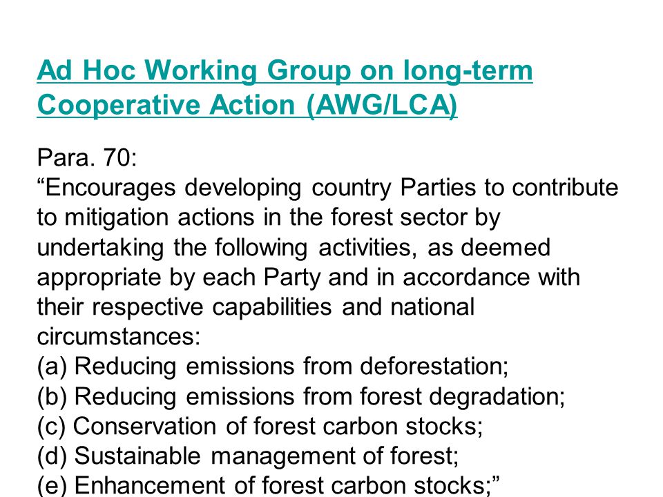 Ad Hoc Working Group on long-term Cooperative Action (AWG/LCA) Para.