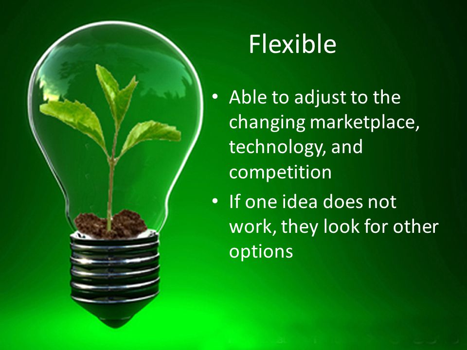 Flexible Able to adjust to the changing marketplace, technology, and competition If one idea does not work, they look for other options