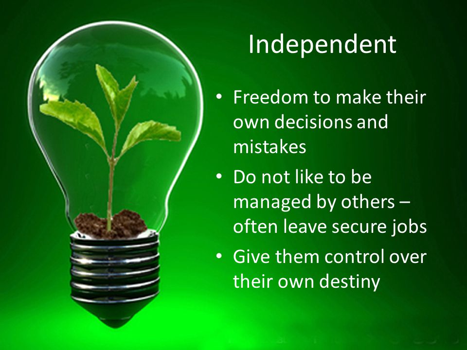 Independent Freedom to make their own decisions and mistakes Do not like to be managed by others – often leave secure jobs Give them control over their own destiny