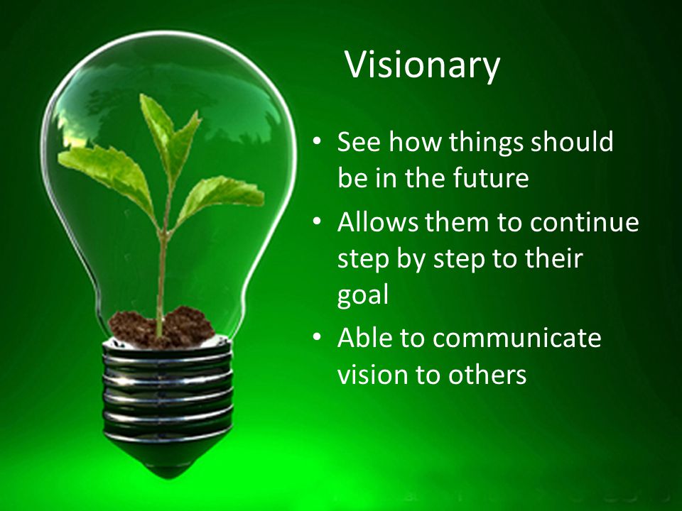 Visionary See how things should be in the future Allows them to continue step by step to their goal Able to communicate vision to others