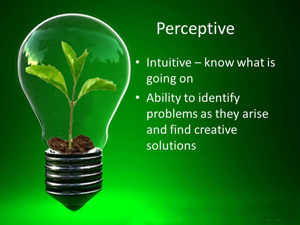 Perceptive Intuitive – know what is going on Ability to identify problems as they arise and find creative solutions