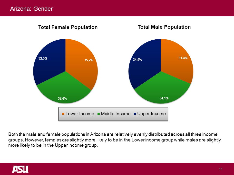 University as Entrepreneur 11 Arizona: Gender Both the male and female populations in Arizona are relatively evenly distributed across all three income groups.