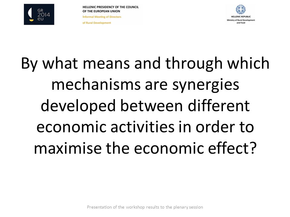 By what means and through which mechanisms are synergies developed between different economic activities in order to maximise the economic effect.